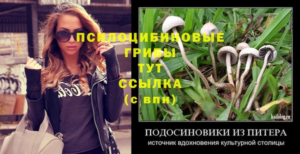 а пвп мука Белокуриха