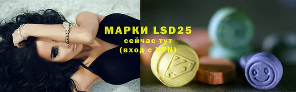 ГАЛЛЮЦИНОГЕННЫЕ ГРИБЫ Белоозёрский