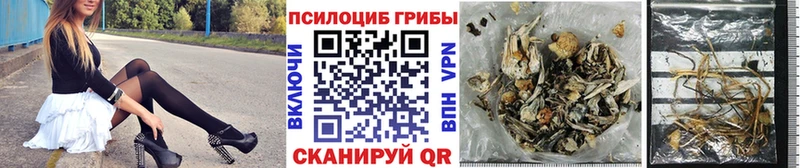 Галлюциногенные грибы Cubensis  купить наркотики сайты  Бугуруслан 
